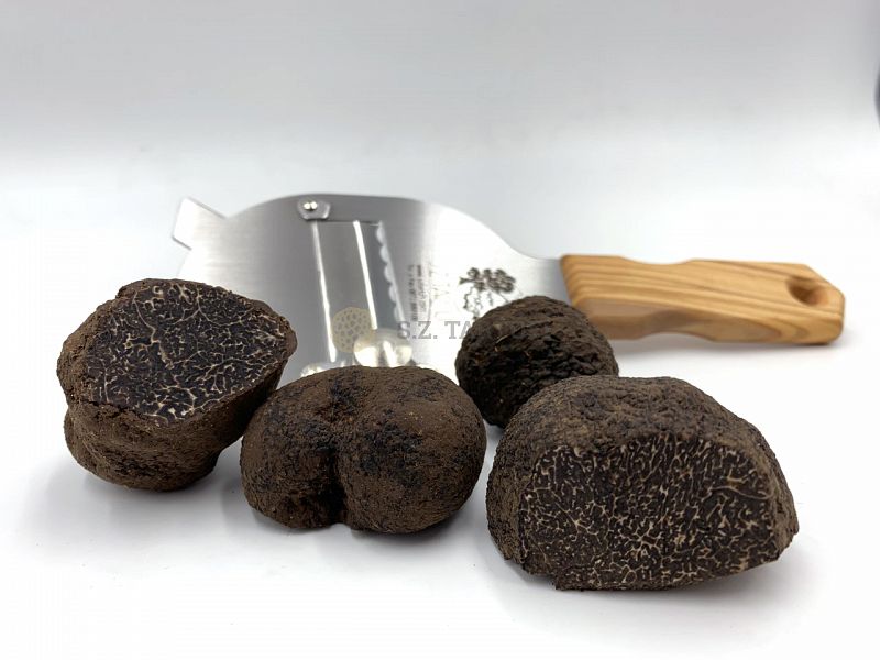Tartufo Nero Pregiato Fresco SECONDA SCELTA - Tuber melanosporum Vitt.