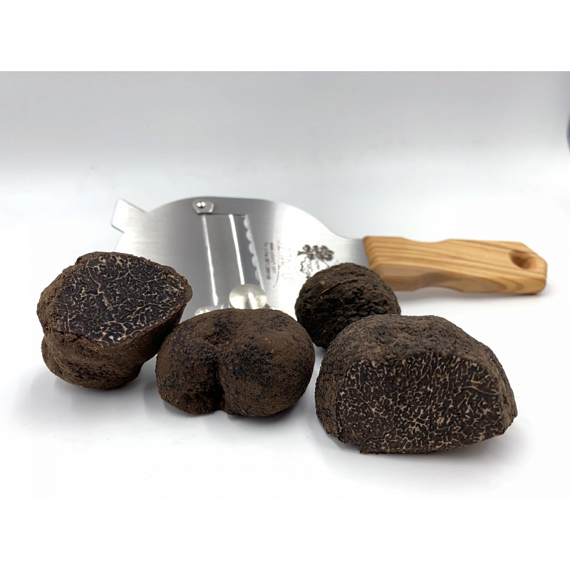 Fresh black truffle second choice (tuber melanosporum vitt.) - S.z. tartufi Fresh truffles on sale S.Z. Tartufi 61054008
