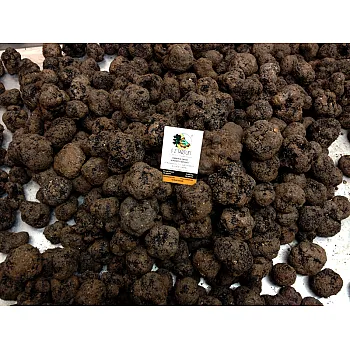 S.Z. Tartufi - Black Truffle