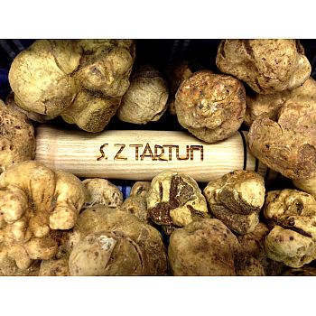 S.Z. Tartufi - White truffle