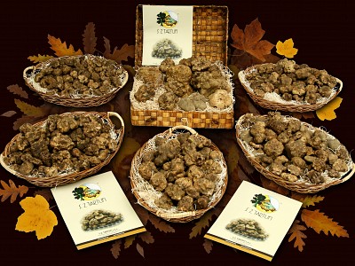 Waiting for the new season of white & black truffles....