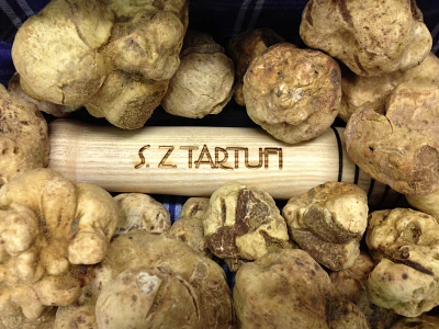 Fresh white and black truffles available !!!