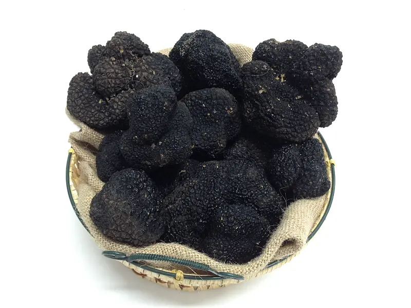 Tartufo Estivo disponibile!