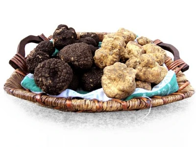 National white truffle fair of Sant'Agata Feltria (PU)