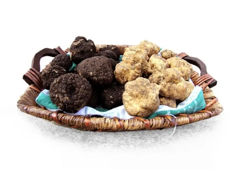 Fiera Nazionale del Tartufo Bianco Pregiato di Sant'Agata Feltria (PU)
