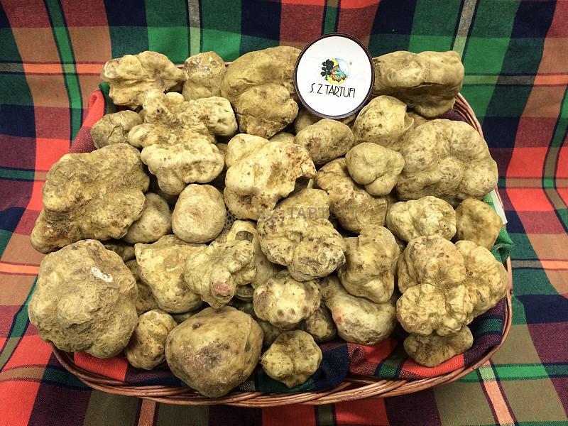 National white truffle fair of Sant'Agata Feltria