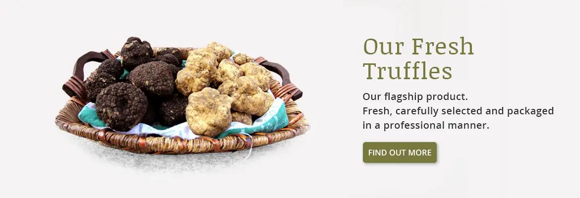 Fresh Truffles