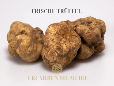 Frische trüffel