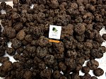 S.Z. Tartufi - Tartufo nero pregiato 1