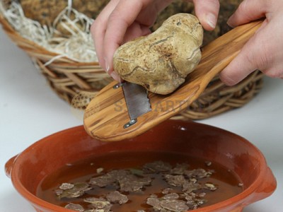 White truffle