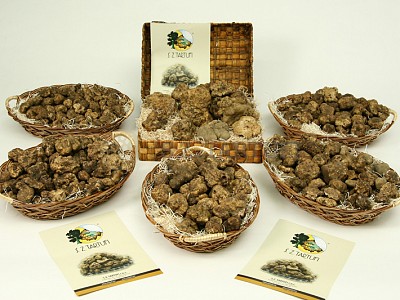 White truffle