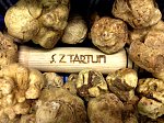 S.Z. Tartufi - Tartufo bianco pregiato 3