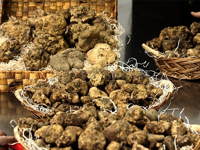 White truffle