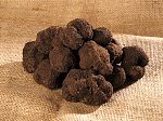 S.Z. Tartufi - Tartufo nero uncinato 1