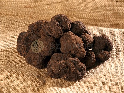 Uncinato truffle