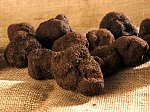 S.Z. Tartufi - Tartufo nero uncinato 2