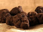 S.Z. Tartufi - Tartufo nero uncinato 4