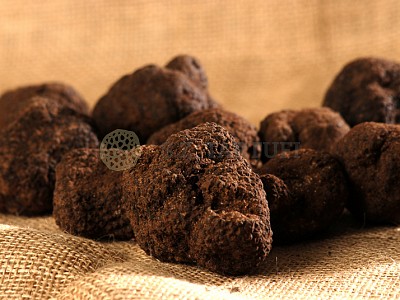 Uncinato truffle
