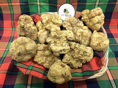S.Z. Tartufi Tartufo Bianco Pregiato Fresco EXTRA - tuber magnatum Pico