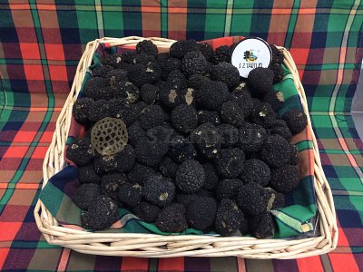 S.Z. Tartufi Tartufo Uncinato Fresco SECONDA SCELTA o PICCOLI - Tuber Aestivum var. Uncinatum Chatin