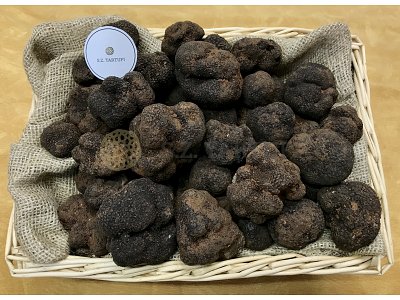 S.Z. Tartufi Tartufo Nero Pregiato Fresco Prima Scelta - tuber melanosporum Vitt.