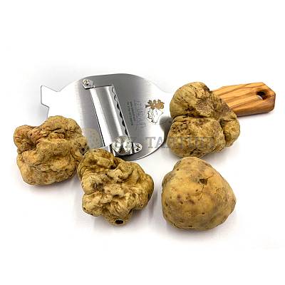 S.Z. Tartufi Frischer weißer Trüffel 1 10-50g Wahl Knolle magnatum Pico