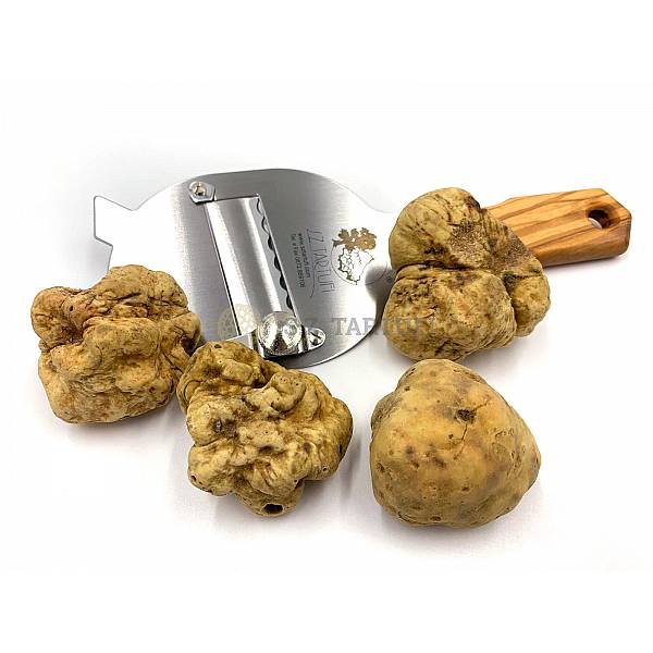 Tartufo Bianco Pregiato Fresco PRIMA SCELTA 10-50g - Tuber magnatum Pico