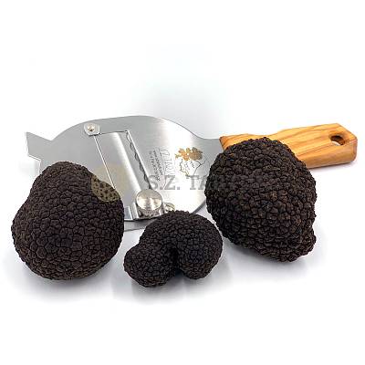 S.Z. Tartufi Tartufo D'Estate Fresco PRIMA SCELTA - Tuber aestivum Vitt. PROVENIENZA ABRUZZO