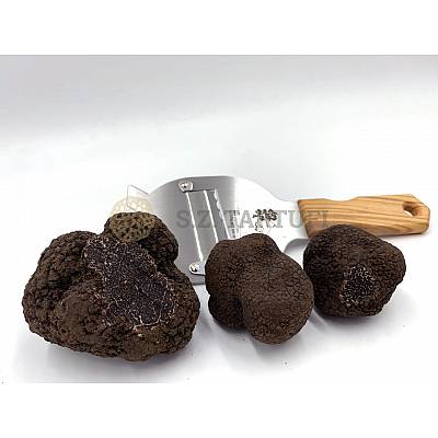 S.Z. Tartufi Frischer Schwarze Trüffel erste Wahl Knolle melanosporum Vitt.