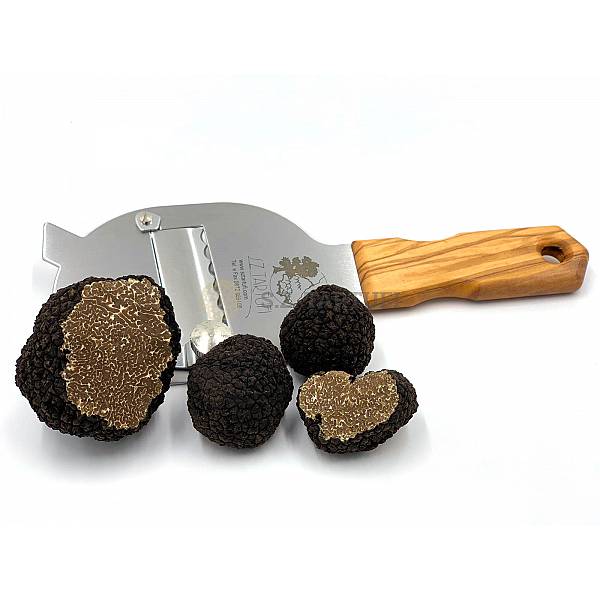 S.Z. Tartufi Fresh Summer truffle SECOND CHOICE or SMALL - Tuber aestivum Vitt. FROM UE
